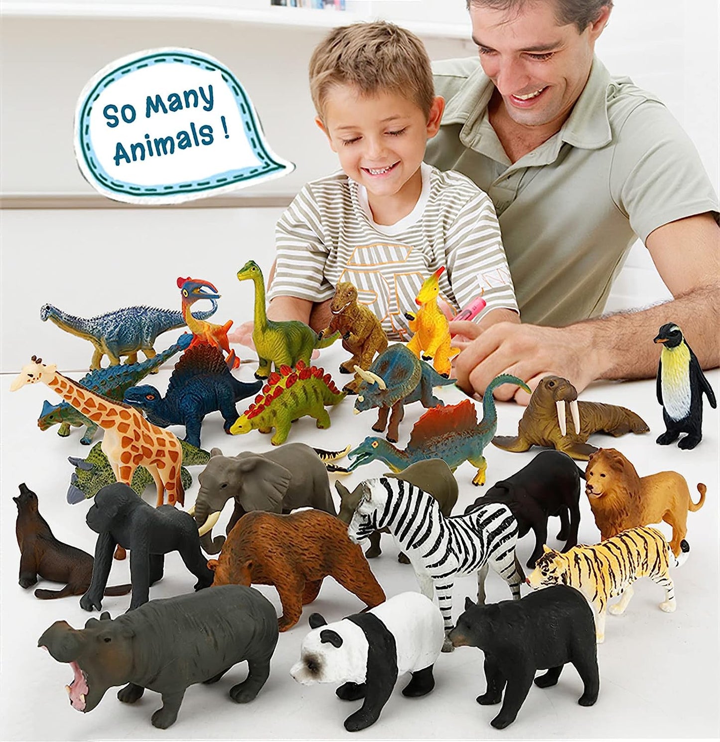 Educational Animal Matching Card
