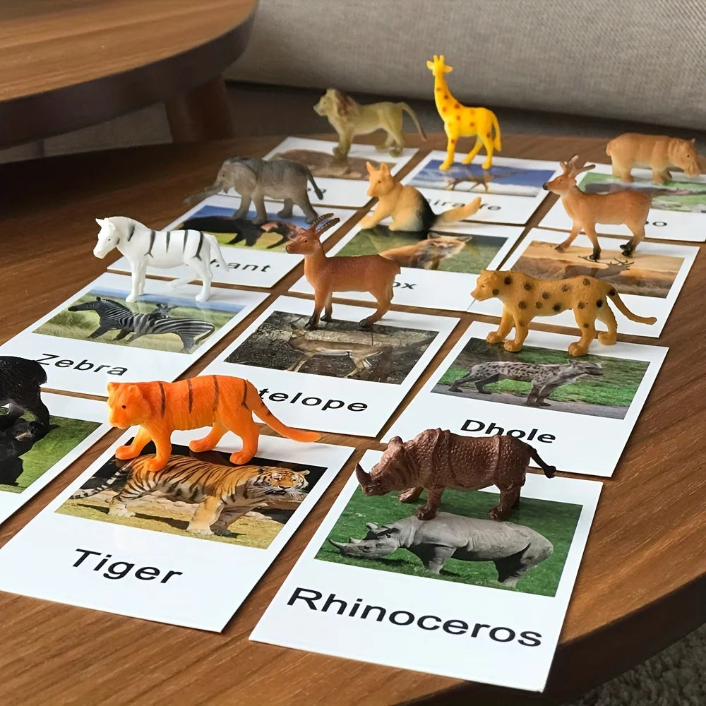 Educational Animal Matching Card