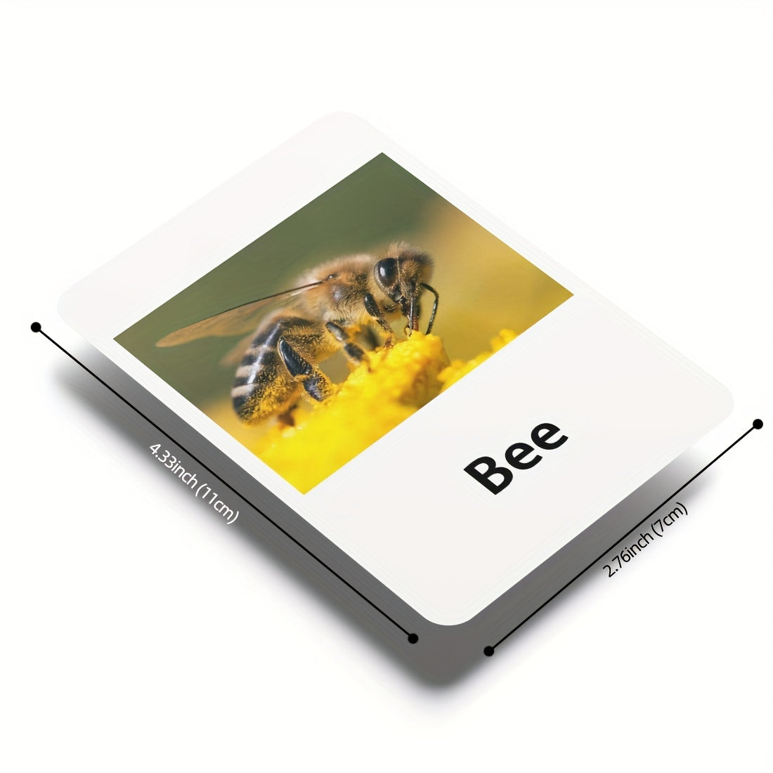 Educational Animal Matching Card