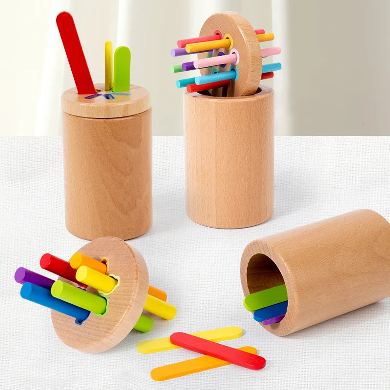 Wooden Colour Sorting Toys