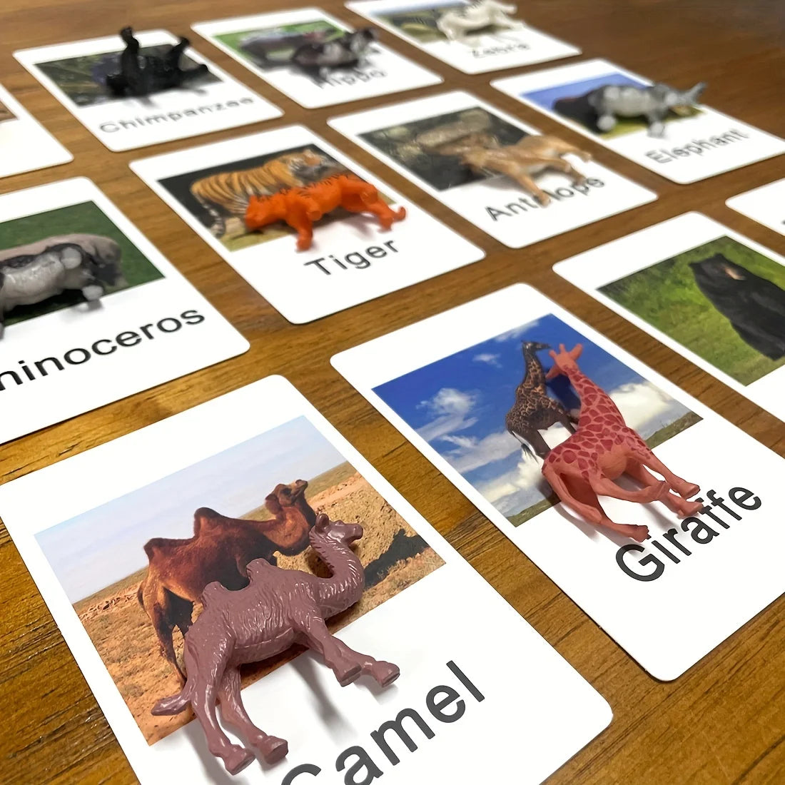 Educational Animal Matching Card