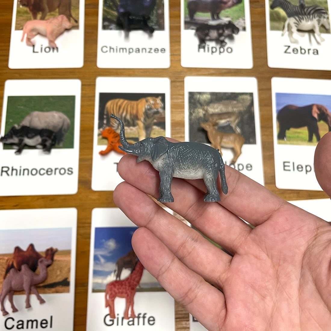 Educational Animal Matching Card