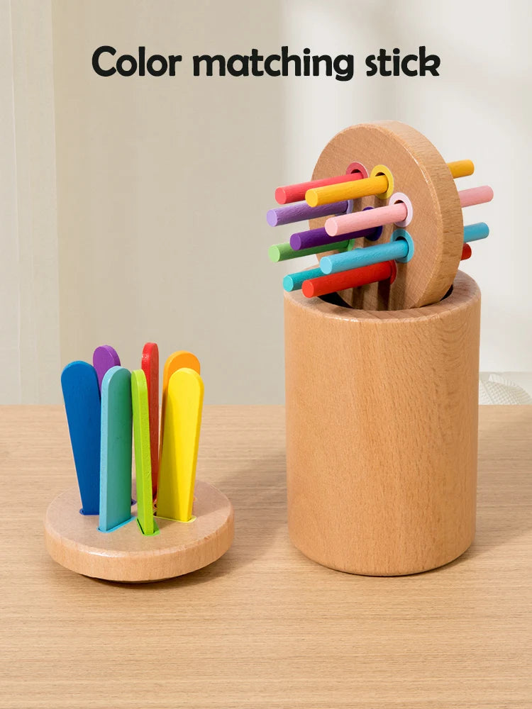 Wooden Colour Sorting Toys