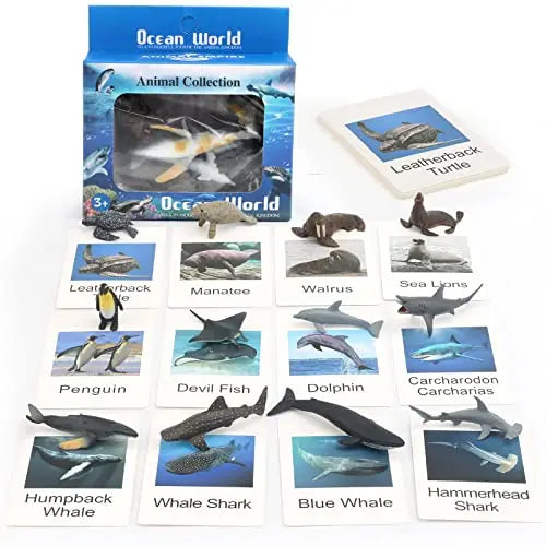 Educational Animal Matching Card
