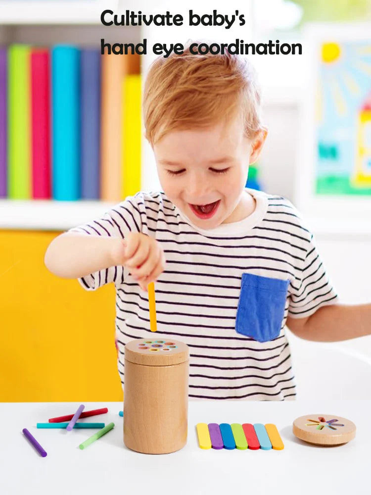 Wooden Colour Sorting Toys