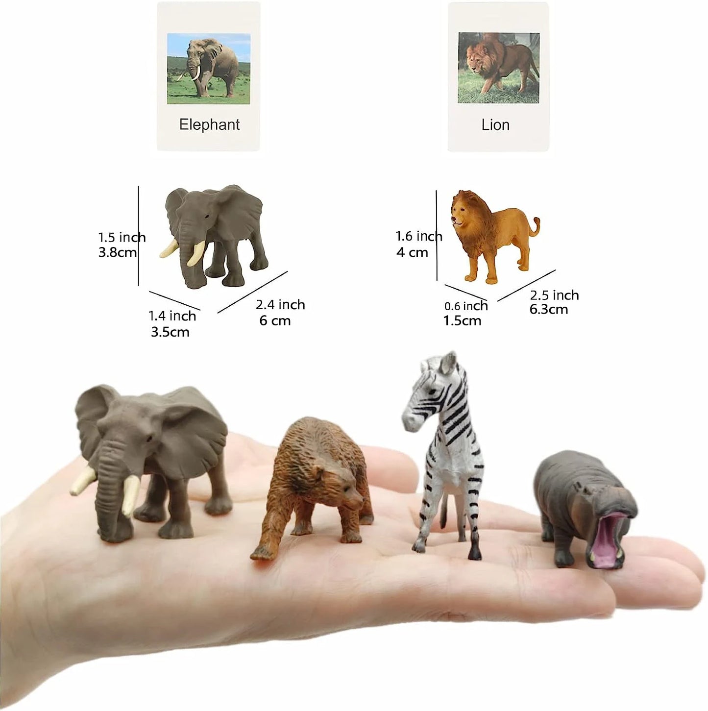Educational Animal Matching Card