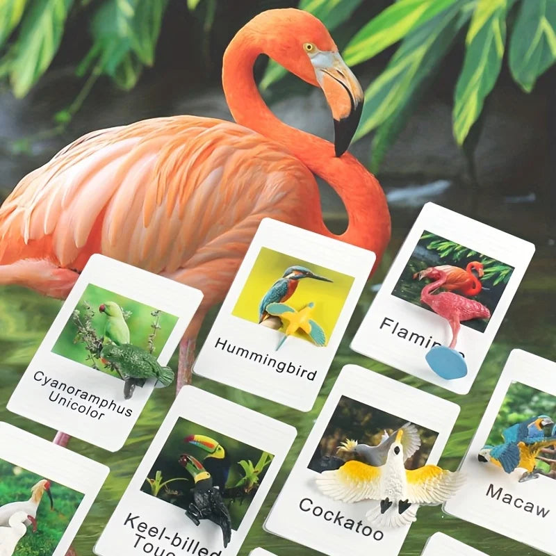 Educational Animal Matching Card
