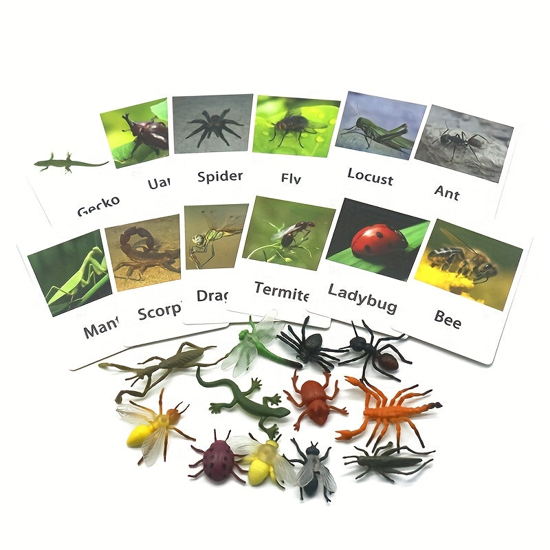 Educational Animal Matching Card