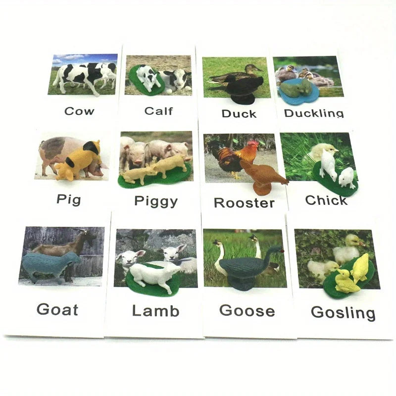 Educational Animal Matching Card