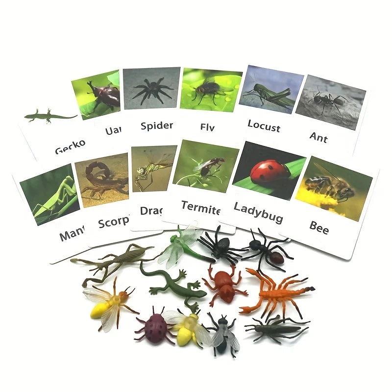 Educational Animal Matching Card