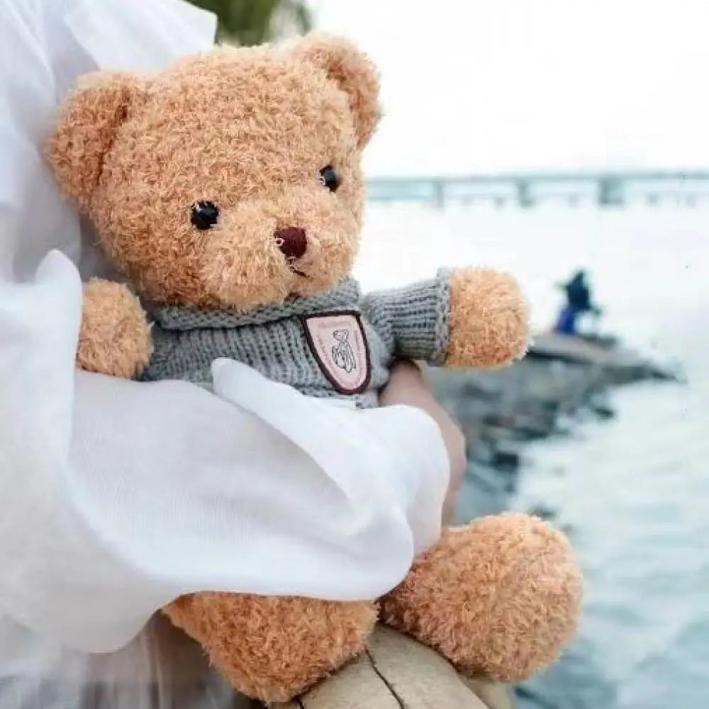 Cute Plush Sweater Bear Toys