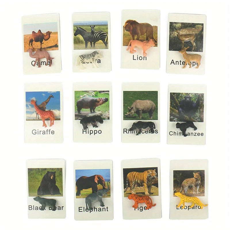 Educational Animal Matching Card