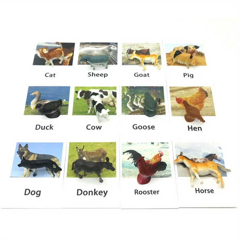 Educational Animal Matching Card