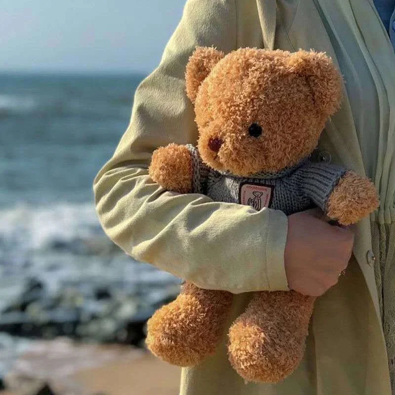 Cute Plush Sweater Bear Toys